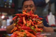 PIHPS catat harga cabai rawit merah Rp40.650 per kg per 1 November