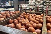 PIHPS: Harga cabai rawit Rp40.660/kg, telur ayam Rp31.400/kg