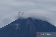 Semeru delapan kali erupsi dengan letusan setinggi 800 meter