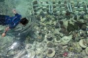 GIZ earmarks 20 mln euros for marine conservation