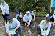 ASDP tanam 3.000 bibit mangrove jaga ekosistem pesisir Mawali