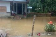 BPBD: Banjir rendam dua desa di Aceh Barat