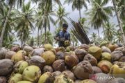 Indonesia pushes agricultural downstreaming to boost farmers&rsquo; income