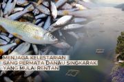 Menjaga kelestarian sang permata Danau Singkarak yang mulai rentan