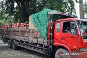 Bea Cukai Kalbagbar gagalkan penyelundupan 30 ton bawang bombai