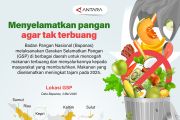Menyelamatkan pangan agar tak terbuang
