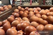 PIHPS: Harga cabai rawit Rp42.700 per kg, telur ayam Rp31.450 per kg