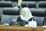Anggota DPR: Kinerja Pertamina harus diperkuat dari hulu sampai hilir