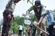 Pemkab Pacitan tanam 4.000 bibit pohon peringati HMPI 2025