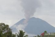 Mount Semeru records 45 eruption quakes, danger level stays at Warning