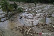 West Sumatra to rehabilitate 25,000 hectares of flood-damaged land