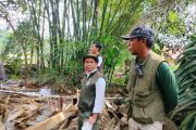 Forestry Minister joins search efforts in flood-stricken Agam