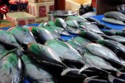 Penerapan perikanan berkelanjutan pacu surplus produksi ikan di Kaltim