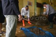 Menko pangan meninjau lokasi banjir bandang