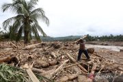 Govt forms task force to trace flood-swept timber origin in Sumatra