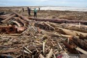 Indonesia probes 12 firms over deadly Sumatra floods