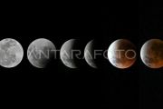 Gerhana bulan total di langit Lombok
