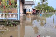BPBD: Ratusan rumah di Bangka terdampak banjir rob
