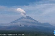 Gunung Semeru empat kali erupsi dengan tinggi letusan 1 km
