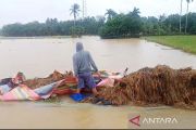 Pemkab: 11.010 hektare sawah di Aceh Timur terendam banjir
