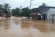 Pemkab: Kerugian pertanian Pasaman Barat Rp3,94 miliar akibat banjir