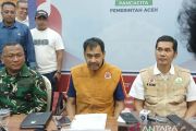 Gubernur: Relawan china belum maksimal di Aceh terkendala puing kayu