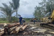11 companies under investigation for role in North Sumatra floods