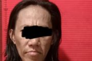 Pria di Jakut ancam ibu kandung dengan parang karena hilangkan sabu