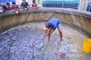 BNPT: Budi daya bioflok Desa Siapsiaga aksi Kesiapsiagaan Nasional