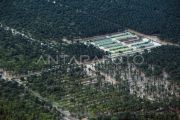 Kawasan perkebunan sawit di Pasaman Barat masih terendam banjir