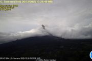 Semeru kembali erupsi dengan tinggi letusan 900 meter di atas puncak