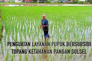 Penguatan layanan pupuk bersubsidi topang ketahanan pangan Sulsel