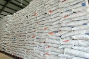 Bulog pastikan stok beras Serang-Cilegon aman hingga Lebaran 2026