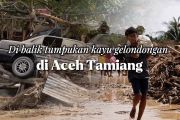 Di balik tumpukan kayu gelondongan di Aceh Tamiang