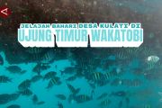 Jelajah bahari Desa Kulati di ujung Timur Wakatobi