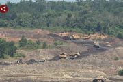 Jalan angkut dibangun, perusahaan tambang diminta lakukan stockpile