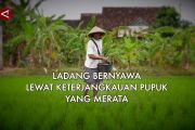 Ladang bernyawa lewat keterjangkauan pupuk yang merata