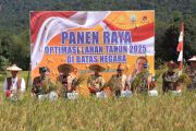 Panen raya Krayan, Kaltara optimalkan sawah perbatasan negara