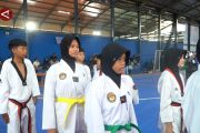 379 atlet taekwondo Kalsel adu tangkas perebutkan Wali Kota Cup 2025