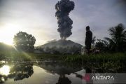 Gunung Ibu erupsi Kamis,  lontarkan abu vulkanik hingga 800 meter