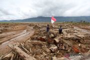 Tumbangnya pohon saat banjir dan alarm kerusakan tanah di hulu