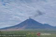 Gunung Semeru 4 kali erupsi pada Sabtu, tinggi letusan capai satu km