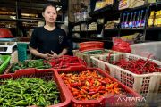 Bapanas: Harga cabai rawit Rp58.796/kg, bawang merah Rp39.173/kg