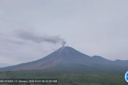 Gempa letusan masih mendominasi aktivitas Gunung Semeru