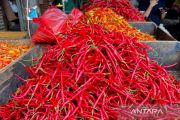 PIHPS: Harga cabai rawit merah Rp50.300/kg, telur ayam Rp32.350/kg