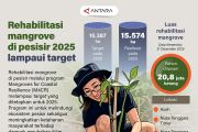 Rehabilitasi mangrove di pesisir 2025 lampaui target
