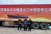 Durian beku Indonesia resmi beredar di pasar China