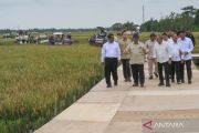Indonesia pledges annual food self-sufficiency after 2025 rice surplus