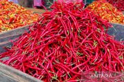 PIHPS: Harga cabai rawit merah Rp53.900/kg, telur ayam Rp32.750/kg