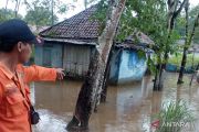 Puluhan rumah warga Desa Ujan Mas Muara Enim terdampak banjir